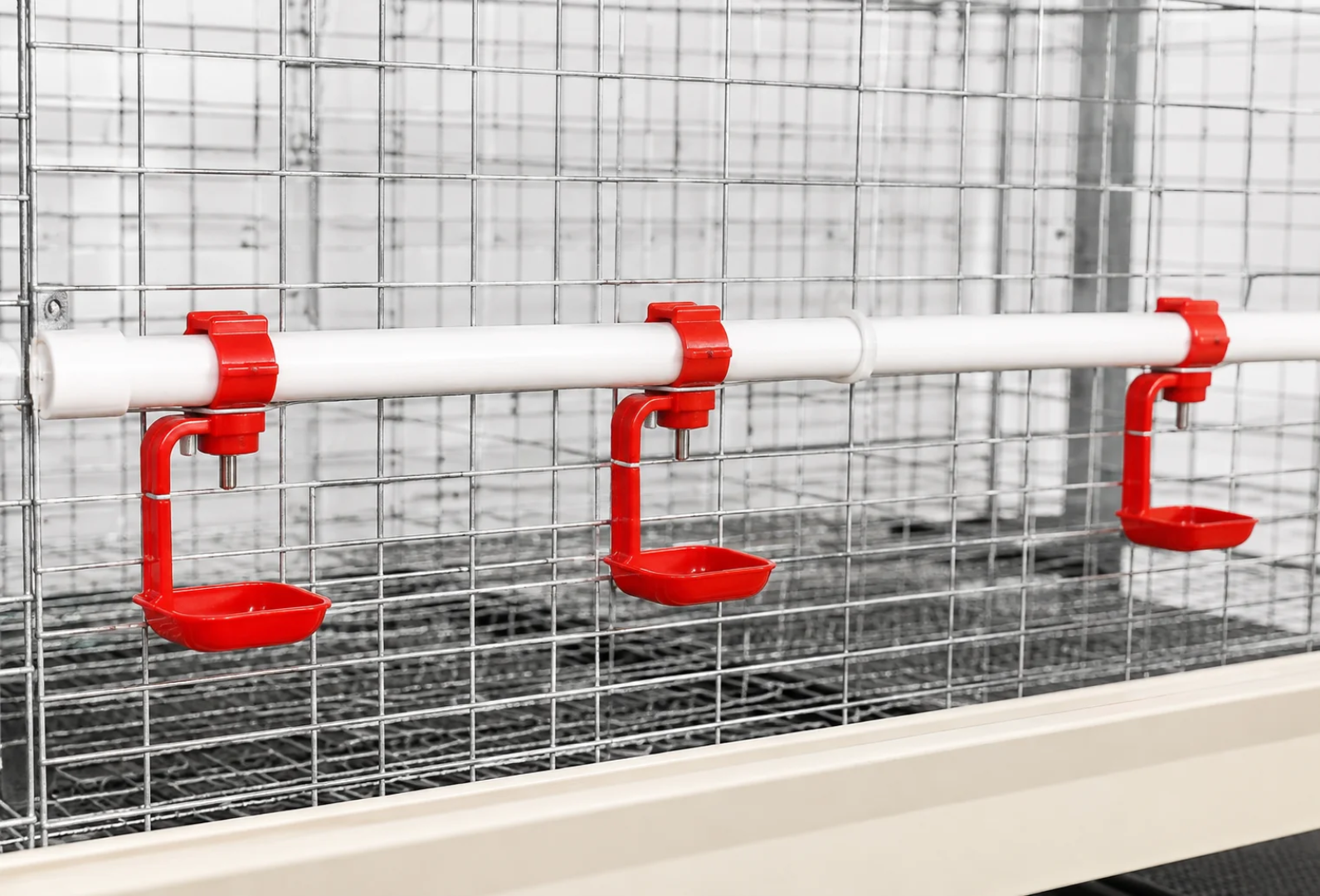 60 Birds Broiler Cage – Commercial Broiler Chicken Cage in Kenya